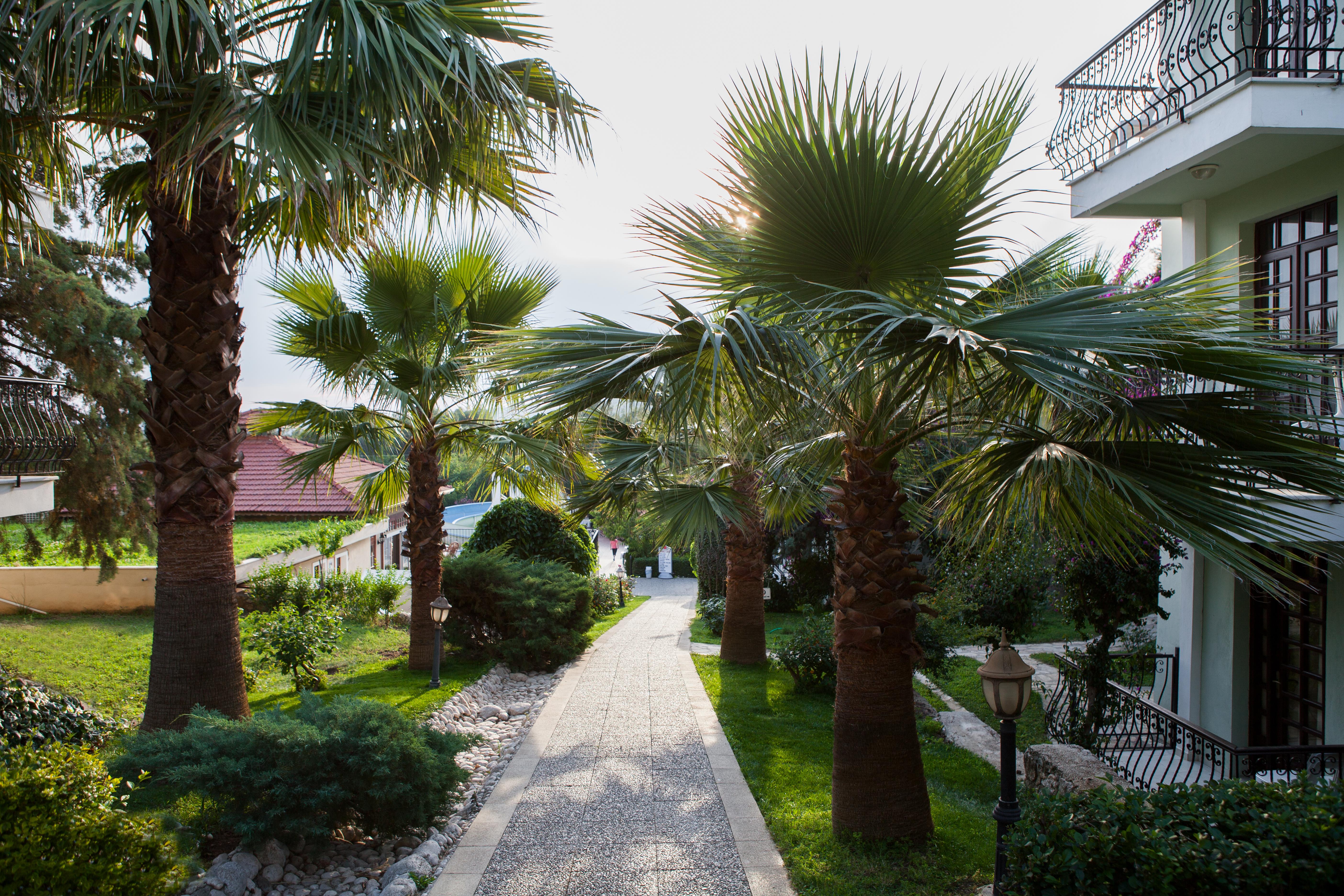 Hotel Greenland Oludeniz Kültér fotó